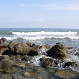 Visita guiada: la biodiversidad de nuestra costa más virgen